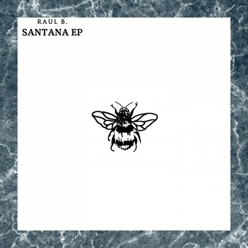 Raul B. - Santana EP [NSD018]